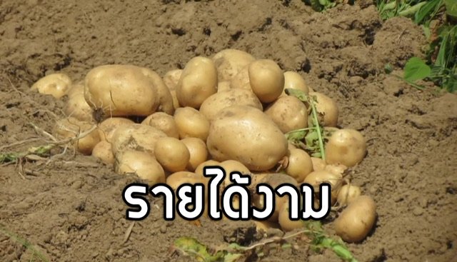D5FFFF49 F875 458B A585 7ADFF8470AC6