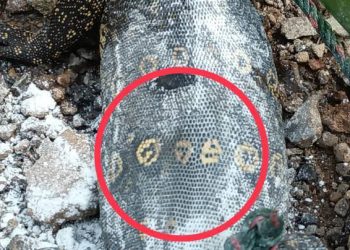 ปราจีนบุรี ตระกวดให้เลขเด็ดก่อนหวยออก