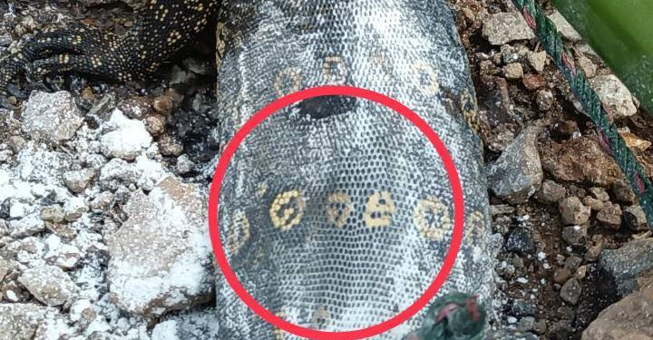 ปราจีนบุรี ตระกวดให้เลขเด็ดก่อนหวยออก 12 ปราจีนบุรี ตระกวดให้เลขเด็ดก่อนหวยออก