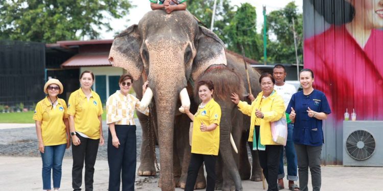 มุกดาหาร ชั่งทองฟาร์ม แอนด์ คาเฟ่ แถลงนโยบายยกระดับ เตรียมยื่นขอจัดตั้งสวนสัตว์สาธารณะในจังหวัดมุกดาหาร