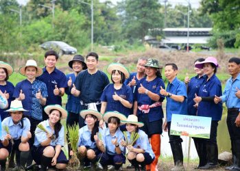 เทศบาลนครเชียงราย พัฒนาศักยภาพชุมชน ดันนโยบายเมืองอาหารปลอดภัย เมืองแห่งการเรียนรู้ นำนักเรียน ทำจริง การทำนา ปลูกข้าว