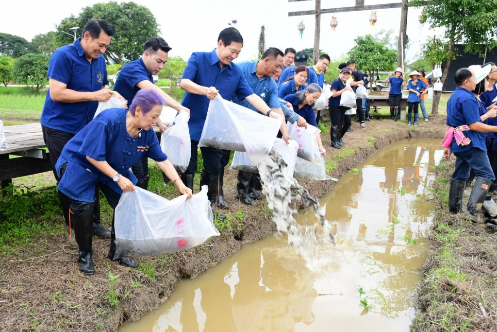 เทศบาลนครเชียงราย พัฒนาศักยภาพชุมชน ดันนโยบายเมืองอาหารปลอดภัย เมืองแห่งการเรียนรู้ นำนักเรียน ทำจริง การทำนา ปลูกข้าว 13 Talknews Online