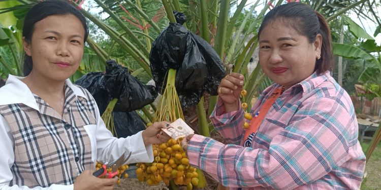 ปราจีนบุรี บ้านสวนนาจำปานิมนต์พระเปิดสวนคนท้องกินฟรี 12 ปราจีนบุรี บ้านสวนนาจำปานิมนต์พระเปิดสวนคนท้องกินฟรี