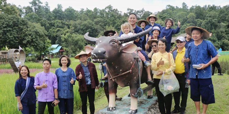 แม่ฮ่องสอน เกษตรแม่ฮ่องสอน “ฤดูกาลท่องเที่ยวเชิงเกษตรบ้านแพมบก อำเภอปาย” ยกระดับแหล่งท่องเที่ยวเชิงเกษตร 12 แม่ฮ่องสอน เกษตรแม่ฮ่องสอน “ฤดูกาลท่องเที่ยวเชิงเกษตรบ้านแพมบก อำเภอปาย” ยกระดับแหล่งท่องเที่ยวเชิงเกษตร