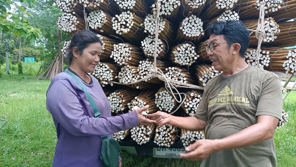 ปราจีนบุรี ขายต้นโสนปีละแสนบาท 13 Talknews Online