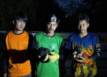 ชัยภูมิเร่งช่วยลูกสุนัขเพศผู้-เมีย2ตัวพลัดแม่ติดอยู่ใต้เสาไฟฟ้ากองซ้อนกันนับ40ต้นนาน2วันด้วยอาการอิดโรย