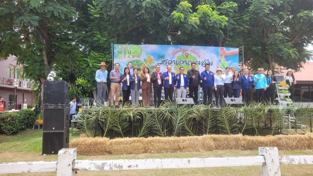 มหาวิทยาลัยมหาสารคาม เปิดฟาร์มอินทผาลัมอินทรีย์ ที่ส่งเสริมให้นักศึกษาคณะเกษตรศาสตร์มีการปลูกมาเป็นปีที่ 3 ให้ผลผลิตดีรสชาติหวานกรอบอร่อยราคาจะต้องได้ 18 Talknews Online