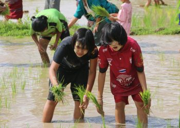 กาญจนบุรี – วิถีแบบบ้านๆ นับวันจะเห็นภาพเช่นนี้ได้ยาก! กิจกรรมทำนาเพื่อโครงการอาหารกลางวันโรงเรียนตำรวจตระเวนชายแดนสหธนาคารกรุงเทพ สืบสานหลักเศรษฐกิจพอเพียงของในหลวงรัชกาลที่9