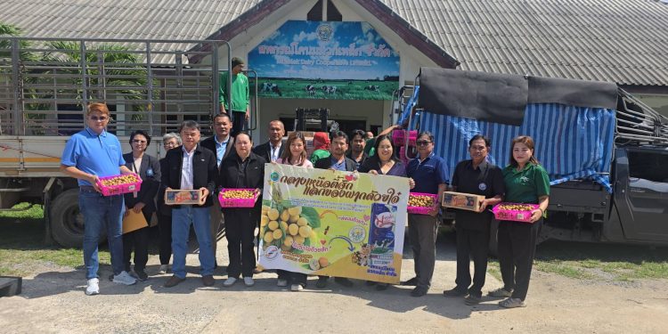 สระบุรี จัดกิจกรรมแลกเปลี่ยนผลผลิตการเกษตรแนวคิด” กลางเหนือตี้ ฮัก แลกของฝากด้วยใจ๋ ส่งนมด้วใจ &รับลำไยด้วยฮัก