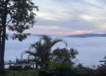 สัมผัสทะเลหมอกขาวโพลนเต็มท้องฟ้าหลังฝนตกยอดภูค้อ