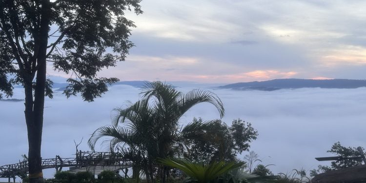 สัมผัสทะเลหมอกขาวโพลนเต็มท้องฟ้าหลังฝนตกยอดภูค้อ 12 สัมผัสทะเลหมอกขาวโพลนเต็มท้องฟ้าหลังฝนตกยอดภูค้อ