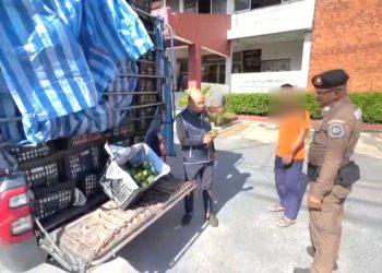 ตำรวจทางหลวงอยุธยา รวบ 2 หนุ่มกระบะคอก 2 คัน รับงานผ่านกลุ่มไลน์ ขนอะโวคาโดเถื่อน มูลค่านับล้าน เข้ากรุง คอตกอ้างไม่รู้แค่รับงานแลกเงิน 5 พัน