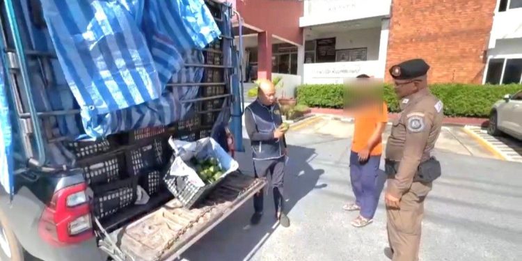 ตำรวจทางหลวงอยุธยา รวบ 2 หนุ่มกระบะคอก 2 คัน รับงานผ่านกลุ่มไลน์ ขนอะโวคาโดเถื่อน มูลค่านับล้าน เข้ากรุง คอตกอ้างไม่รู้แค่รับงานแลกเงิน 5 พัน 12 ตำรวจทางหลวงอยุธยา รวบ 2 หนุ่มกระบะคอก 2 คัน รับงานผ่านกลุ่มไลน์ ขนอะโวคาโดเถื่อน มูลค่านับล้าน เข้ากรุง คอตกอ้างไม่รู้แค่รับงานแลกเงิน 5 พัน