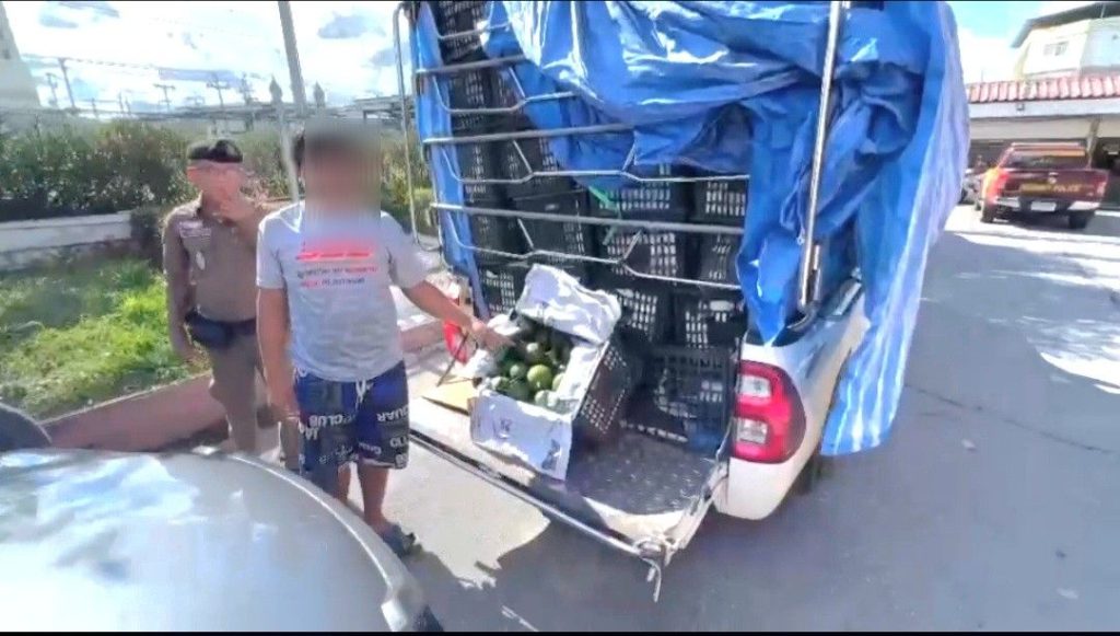 ตำรวจทางหลวงอยุธยา รวบ 2 หนุ่มกระบะคอก 2 คัน รับงานผ่านกลุ่มไลน์ ขนอะโวคาโดเถื่อน มูลค่านับล้าน เข้ากรุง คอตกอ้างไม่รู้แค่รับงานแลกเงิน 5 พัน 13 Talknews Online