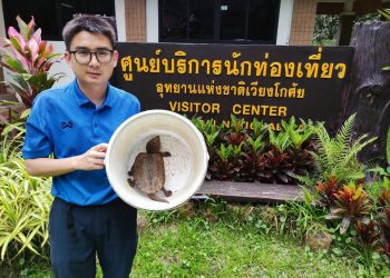 “ประวิทย์ ใจคำ “หน.อช.เวียงโกศัย นำเต่าปูลูปล่อยสู่ธรรมชาติ ที่น้ำตกแม่เกิ๋ง (ห้วยแม่เกิ๋ง) อ.วังชิ้น จ.แพร่