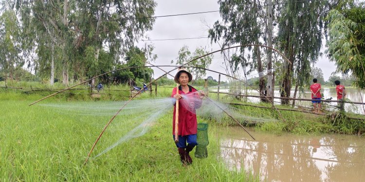 กาฬสินธุ์ฤทธิ์พายุคาจิกิน้ำห้วยลำพะยังล้นตลิ่งท่วมนาข้าวพื้นที่ใกล้เขาภูพาน