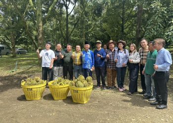 เบตง ดาโต๊ะ รัฐเนกรีเซมบิลัน ประเทศมาเลเซีย ชมสวนทุเรียนเบตง