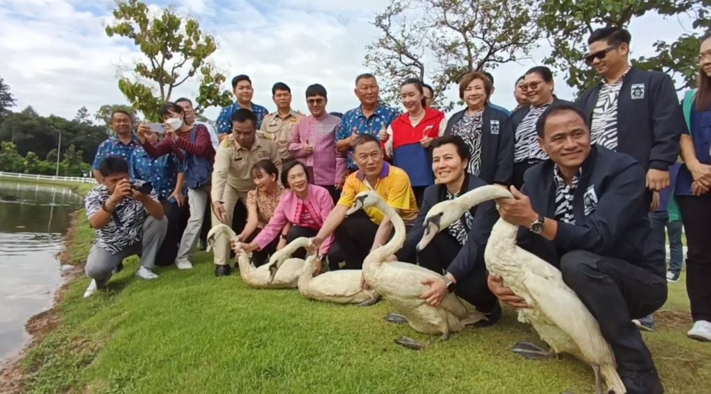 ส.ว.ก๊อง จับมือไนท์ซาฟารี ปล่อยหงส์ขาว ที่หนองเขียว สวน อบจ.สร้างสีสัน เล็งเพิ่มแพะแคระ-เต่าดึงดูดนักท่องเที่ยว 13 Talknews Online