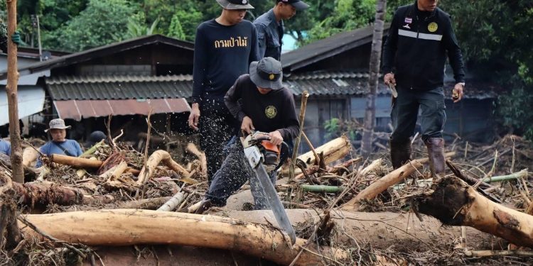 แม่ฮ่องสอน แจงกรณีไม้จากอุทกภัยบ้านผาบ่อง ย้ำ! ประชาชนสามารถเคลื่อนย้ายไม้ และมีสิทธิใช้ประโยชน์ แต่ต้องเป็นไป ตามกฎหมายที่กำหนด ไม่มีการห้ามเคลื่อนย้ายไม้แต่อย่างใด 12 แม่ฮ่องสอน แจงกรณีไม้จากอุทกภัยบ้านผาบ่อง ย้ำ! ประชาชนสามารถเคลื่อนย้ายไม้ และมีสิทธิใช้ประโยชน์ แต่ต้องเป็นไป ตามกฎหมายที่กำหนด ไม่มีการห้ามเคลื่อนย้ายไม้แต่อย่างใด