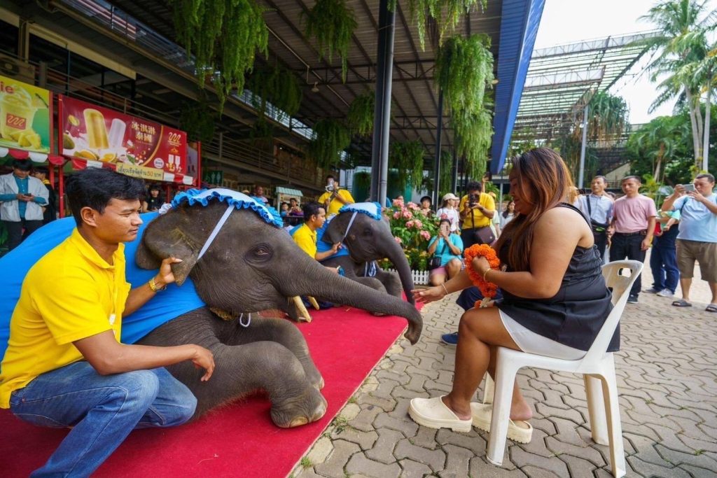 สวนนงนุชพัทยา มอบของขวัญวันแม่ เปิดให้คุณแม่เข้าฟรี 12 สิงหาคมนี้ วันเดียวเท่านั้น! 13 Talknews Online