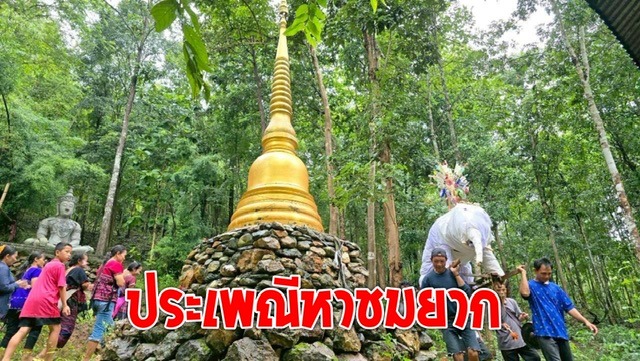 พิธีแห่ช้างเผือกบูชาผีขุนน้ำ สืบสานประเพณีโบราณหาชมได้ยาก 12 พิธีแห่ช้างเผือกบูชาผีขุนน้ำ สืบสานประเพณีโบราณหาชมได้ยาก