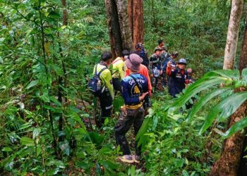 ชัยภูมิ5วัน4คืนยาย70ปีหลงป่าบนเทือกเขาพังเหยนานวันยังไร้วี่แวว