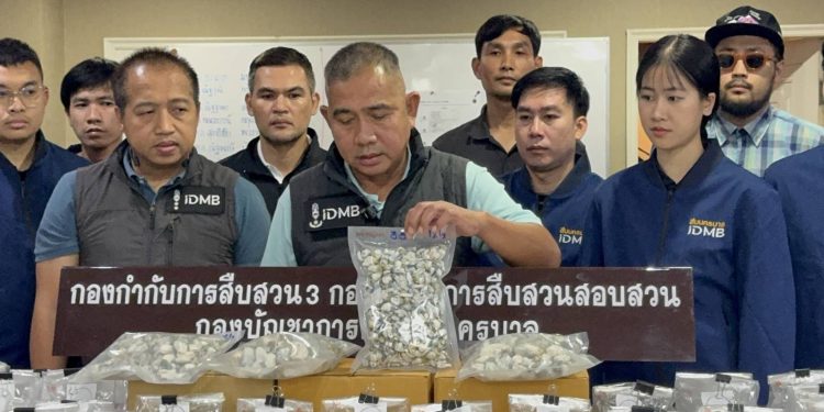 สืบนครบาลร่วมนักเรียนสืบสวนคดีอาญา รุ่น 117 รวบหนุ่มวัย 25 ลอบขายเห็ดขี้ควาย ยึดของกลาง 56 กิโลฯ มูลค่ากว่า 2.2 ล้านบาท