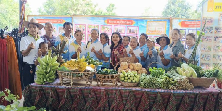 บ้านหนองโดนอำเภอกุดรังจังหวัดมหาสารคามคว้ารางวัลรองชนะเลิศอันดับที่ 1 ครัวเรือนต้นแบบในระดับตำบล มีการทำเศรษฐกิจพอเพียงทำให้ชีวิตเป็นอยู่เรียบง่าย