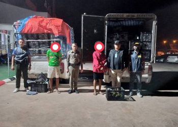 มุกดาหาร ชป.พิเศษ กก.3 บก.ป.สกัดจับอะโวคาโดไม่ผ่านพิธีการศุลกากร กว่า 4,300 กิโลกรัม