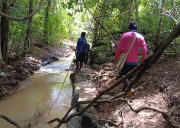 ชัยภูมิ ยายคูณอายุ 70 ปีหลงป่านาน 19 วัน 18 คืนยังไร้วี่แวว