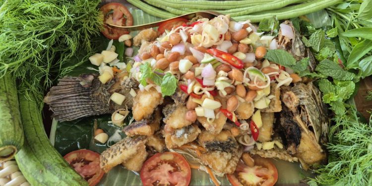 อำนาจเจริญ วัฒนธรรมจังหวัด จัดกิจกรรม " ปลายำตะไคร้" 1 จังหวัด 1 เมนู เชิดชูอาหารถิ่น เพื่อสร้างสรรค์ต่อยอดภูมิปัญญาอาหารถิ่นของอำนาจเจริญ 12 อำนาจเจริญ วัฒนธรรมจังหวัด จัดกิจกรรม ” ปลายำตะไคร้” 1 จังหวัด 1 เมนู เชิดชูอาหารถิ่น เพื่อสร้างสรรค์ต่อยอดภูมิปัญญาอาหารถิ่นของอำนาจเจริญ