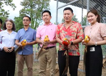 “ส.ว.ก๊อง” รับมอบไก่ฟ้าเยลโล่-การ์เด้น จากนายกฯ ป่าเมี่ยงรับข้อเสนอสร้างสนามเด็กเล่นส่งเสริมท่องเที่ยวครอบครัวในสวน อบจ.