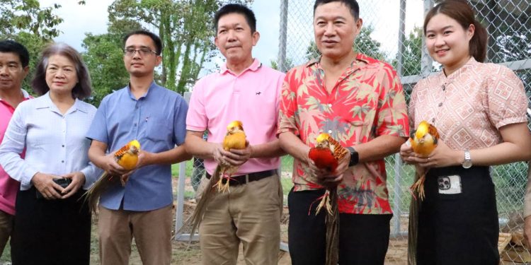 “ส.ว.ก๊อง” รับมอบไก่ฟ้าเยลโล่-การ์เด้น จากนายกฯ ป่าเมี่ยงรับข้อเสนอสร้างสนามเด็กเล่นส่งเสริมท่องเที่ยวครอบครัวในสวน อบจ.