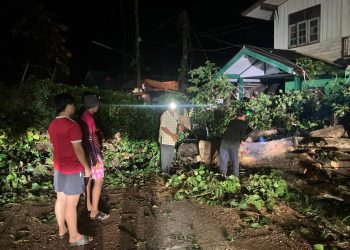 อำนาจเจริญ พายุ ฝนถล่ม ต้นไม้ขนาดใหญ่หักล้มระนาวทับบ้านเรือน เสียหายเป็นจำนวนมาก