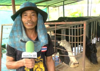 สกลนคร เกษตรกรครวญน้ำนมดิบราคาต่ำหัวอาหารสูงใกล้เจ๊ง