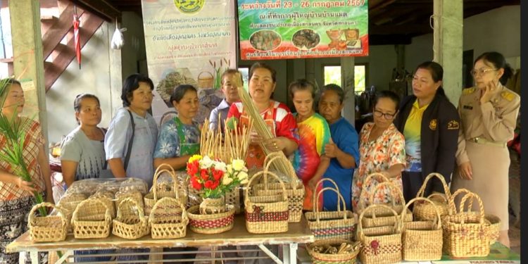 สกลนคร เครื่องจักสานจากผักตบชวา หัตถกรรมอันทรงคุณค่า ภูมิปัญญ าชาวบ้าน