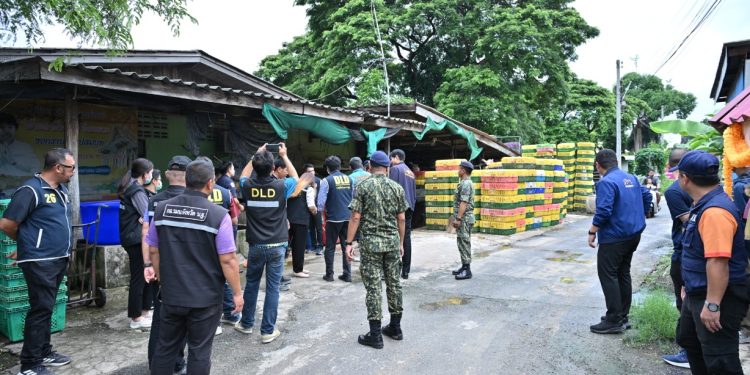 นครปฐม รองผู้ว่าราชการจังหวัดนครปฐม พร้อมหน่วยงานที่เกี่ยวข้อง ลงพื้นที่ตรวจสอบการลักลอบฆ่าสัตว์ ในพื้นที่อำเภอเมืองนครปฐม จากการตรวจสอบ พบการกระทำความผิด ประกอบกิจการฆ่าสัตว์ โดยไม่ได้รับอนุญาต