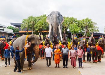 สวนนงนุชพัทยาดูแล ทำคลอดลูกช้าง“พลายศรีวิชัย”อย่างใกล้ชิด สมาชิกใหม่แห่งปางช้าง หลังแม่ช้างเคยพลาดเหยียบลูกช้างเสียชีวิต พร้อมจัดพิธีรับขวัญอย่างยิ่งใหญ่