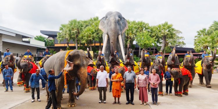 สวนนงนุชพัทยาดูแล ทำคลอดลูกช้าง“พลายศรีวิชัย"อย่างใกล้ชิด สมาชิกใหม่แห่งปางช้าง หลังแม่ช้างเคยพลาดเหยียบลูกช้างเสียชีวิต พร้อมจัดพิธีรับขวัญอย่างยิ่งใหญ่ 12 สวนนงนุชพัทยาดูแล ทำคลอดลูกช้าง“พลายศรีวิชัย”อย่างใกล้ชิด สมาชิกใหม่แห่งปางช้าง หลังแม่ช้างเคยพลาดเหยียบลูกช้างเสียชีวิต พร้อมจัดพิธีรับขวัญอย่างยิ่งใหญ่