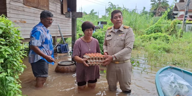 ปทุมธานี น้ำท่วมชุมชนหลังวัดน้ำวน นายกเล็กลุยแจกไข่ 12 ปทุมธานี น้ำท่วมชุมชนหลังวัดน้ำวน นายกเล็กลุยแจกไข่