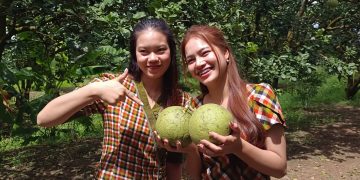 ชัยภูมิส้มโอบ้านแท่นโกอินเตอร์สองตายายสู้ชีวิตพลิกผืนนาปลูกสวนส้มโอขายทำเงินปีล่ะกว่าครึ่งล้าน 9 ชัยภูมิส้มโอบ้านแท่นโกอินเตอร์สองตายายสู้ชีวิตพลิกผืนนาปลูกสวนส้มโอขายทำเงินปีล่ะกว่าครึ่งล้าน