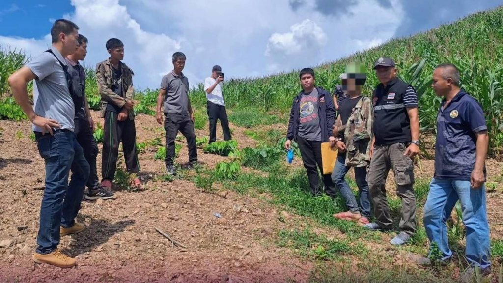 ตร.สภ.สอง "ลุยแหลก" จับกุมผู้ต้องหา 3 รายรวด พร้อมของกลางยาบ้า ส่งดำเนินคดี 13 Talknews Online