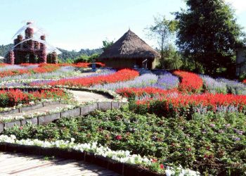 เปิดแล้ว ปราสาทดอกไม้ม่อนแจ่ม สไตล์ยุโรปแห่งแรกภาคเหนือ ชี้เป็นแลนด์มาร์คใหม่ช่วงไฮซีซั่นแม่ริม ตั้งเป้า นทท.5 ล้าน เงินสะพัด 15,000 ล้าน