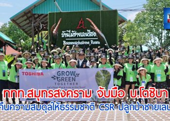 ททท.สมุทรสงคราม จับมือ บ.โตชิบา จัดกิจกรรม CSR ปลูกป่าชายเลน