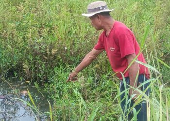 ปราจีนบุรี พบโครงกระดูกปริศนากลางทุ่งนา
