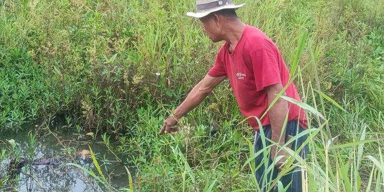 ปราจีนบุรี พบโครงกระดูกปริศนากลางทุ่งนา