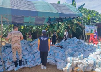 สิงห์บุรี / ปลัดอำเภอพรหมบุรี นำกำลังเจ้าหน้าที่และ อส. ลงพื้นที่กรอกกระสอบทราย ป้องกันน้ำล้นตลิ่งแม่น้ำเจ้าพระยา