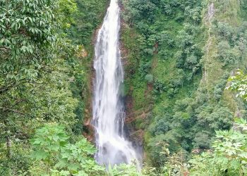 น้ำตกแม่สุรินทร์เปิดแล้วรับเส้นทางท่องเที่ยวคู่ทุ่งดอกบัวตองบานที่ดอยแม่อูคอ