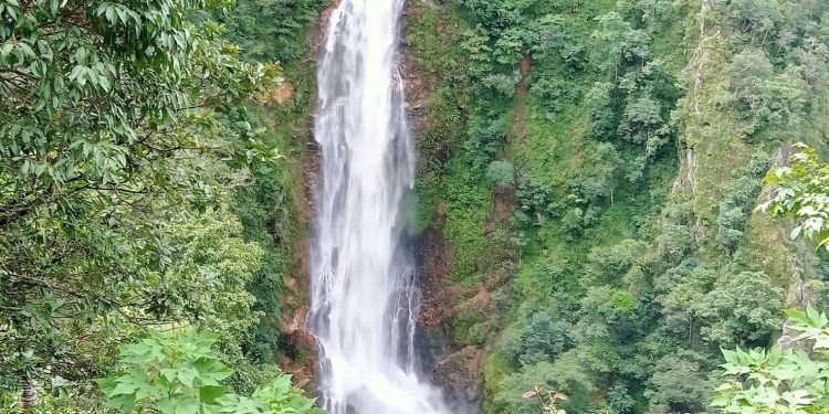 น้ำตกแม่สุรินทร์เปิดแล้วรับเส้นทางท่องเที่ยวคู่ทุ่งดอกบัวตองบานที่ดอยแม่อูคอ 12 น้ำตกแม่สุรินทร์เปิดแล้วรับเส้นทางท่องเที่ยวคู่ทุ่งดอกบัวตองบานที่ดอยแม่อูคอ