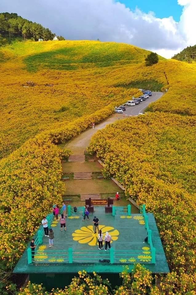 น้ำตกแม่สุรินทร์เปิดแล้วรับเส้นทางท่องเที่ยวคู่ทุ่งดอกบัวตองบานที่ดอยแม่อูคอ 13 Talknews Online